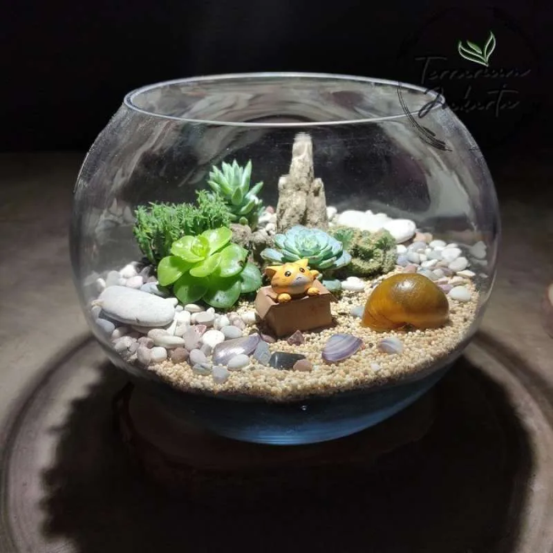 Terrarium Kecil sebagai Dekorasi Menarik di Meja Kerja dan Rumah